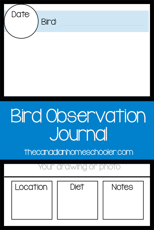 Bird Observation Journal