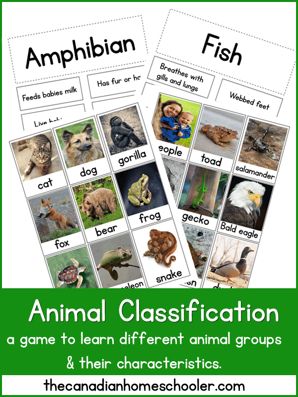 Animal Classification {Printable} - A Matching Game