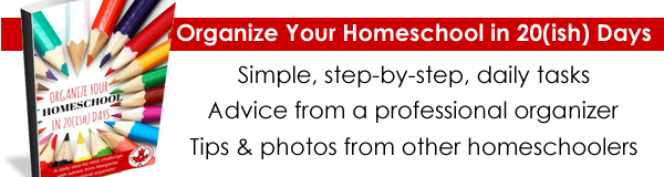 Organize Your Homeschool Ebook Promotion