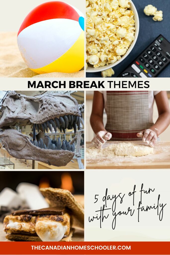 Images of a beach ball, popcorn and a remote, a dinosaur skeleton, someone with dough, and smores.
