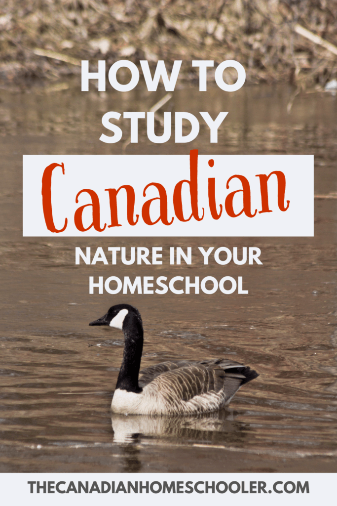 Image of a Canadian Goose with the text How to Study Canadian Nature in Your Homeschool overlay