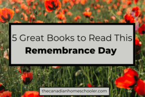 Image of poppies in a field with the text 5 Great Books to Read This Remembrance Day.