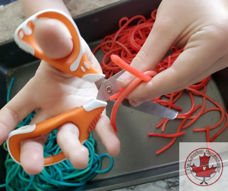 child cutting colourful cooked spaghetti noodles with scissors