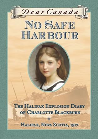 Image of the book cover No Safe Harbour. 