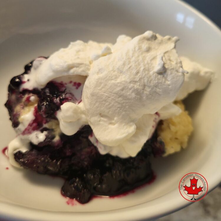 Blueberry Grunt with Whipped Cream