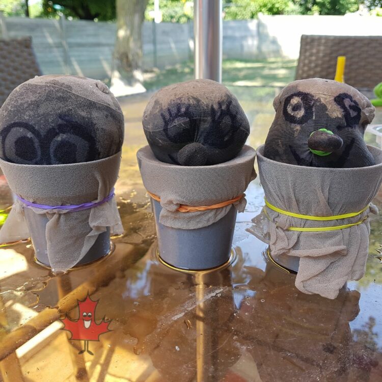 3 little flowerpots with heads made out of nylons and soil to make chia pet style characters