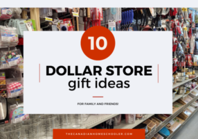 Dollar Store Gift IdeasFB