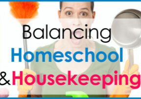 homeschoolhousekeeping_rect