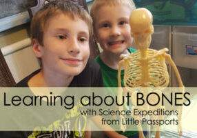 science-expeditions-bones